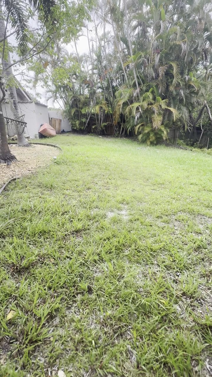 Patio con grama natural dispareja antes de la instalación