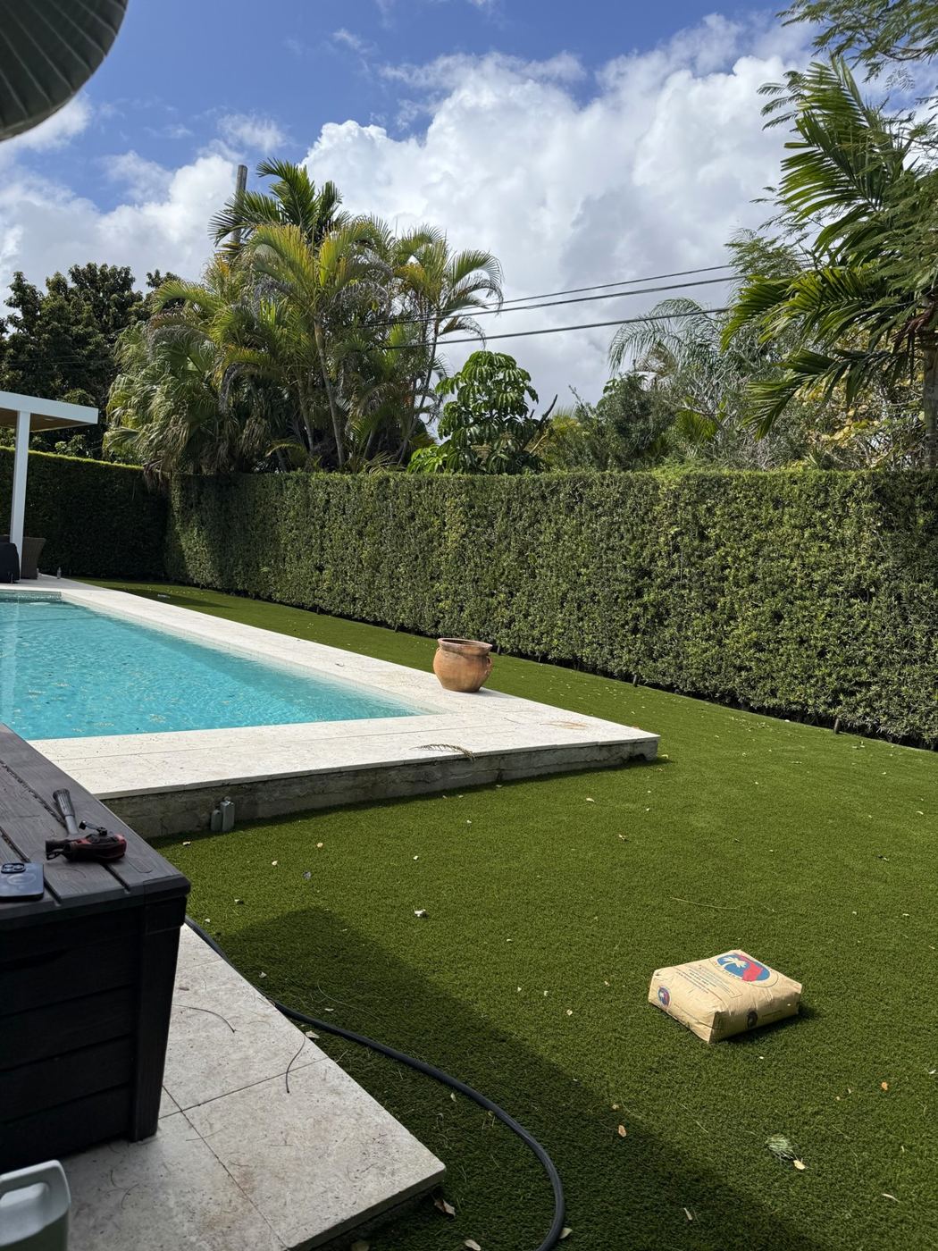 Piscina rodeada de grama y seto